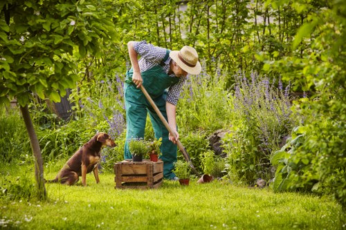 Professional garden maintenance in Chigwell during spring