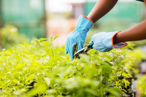 Green waste and materials prepared for recycling and reuse