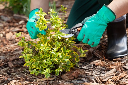 Soft landscaping features in a Chigwell garden with seasonal plants