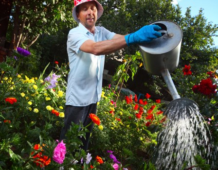 Lawn and hedge care for garden maintenance in Chigwell