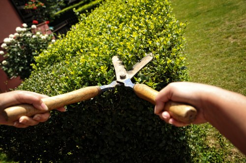 Accepted payment methods for Landscapers Chigwell including card and PayPal options