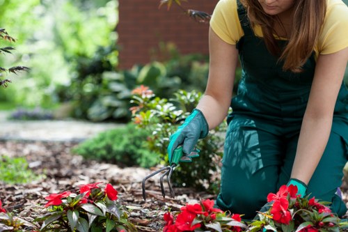 Professional landscaping in Chigwell with structured planting and surfaces