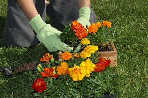 Commercial planting services in Chigwell creating a welcoming entrance