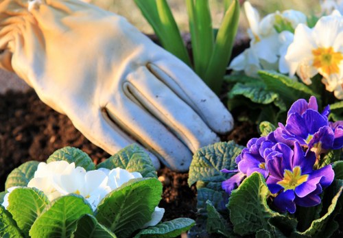 Professional landscaping features in a Chigwell outdoor space