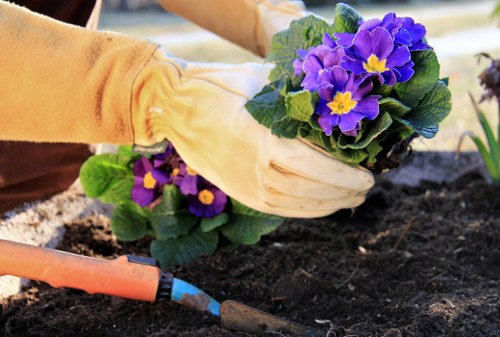 Watering and drainage for Chigwell lawns