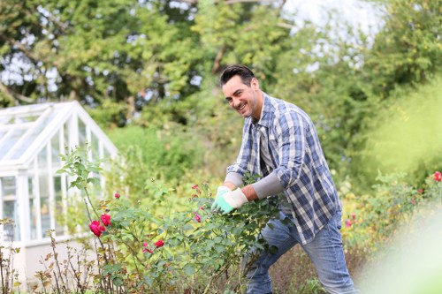 Low-maintenance planting scheme designed for a Chigwell home
