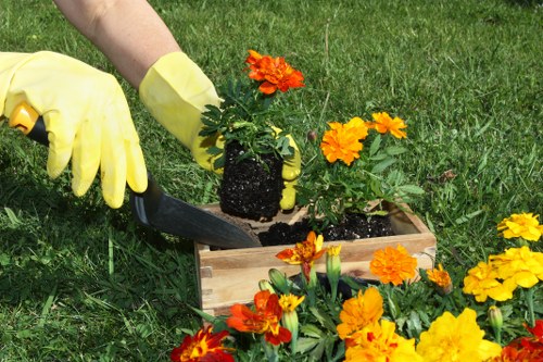 About us page concept for Landscapers Chigwell with modern garden styling