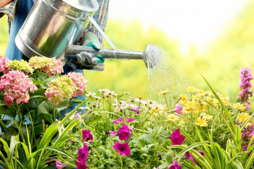 Fertilising grass for lawn care in Chigwell