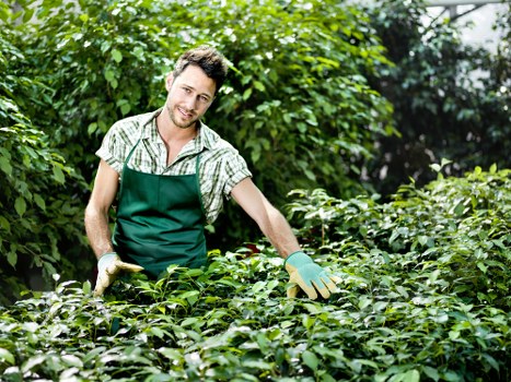 Professional insured rubbish company handling garden clearance safely