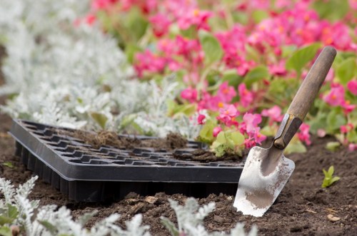 Seasonal garden upkeep in Chigwell with planting borders