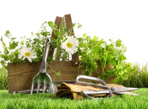 Trusted Landscapers Chigwell payments area with secure checkout and encryption