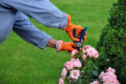 Patio and planting work by Chigwell landscape gardeners