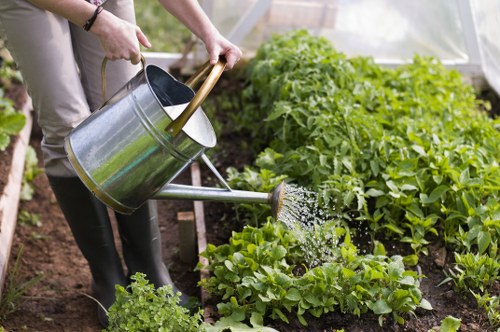 Layered planting design in Chigwell for year-round interest